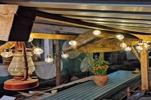 Дім мандрівника 5