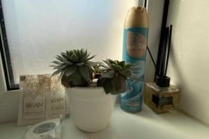 Мини-отель Family ЛюКс. Люкс двухместный  3