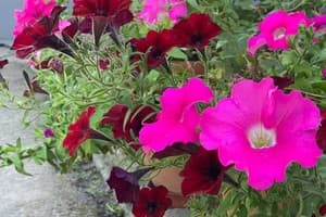 Guest House KARTA F. M 1