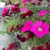 Guest House KARTA F. M 1-2/14
