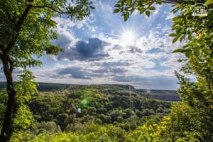 Родинний Маєток Family Estate 31