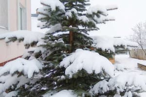 Родинний Маєток Family Estate 8