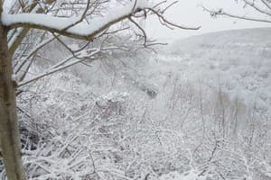 Родинний Маєток Family Estate 14