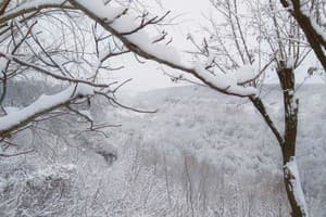 Гостиный двор Родинний Маєток Family Estate. Коттедж 4-местный возле каньона(К2+3), терраса, сауна, бассейн. 14