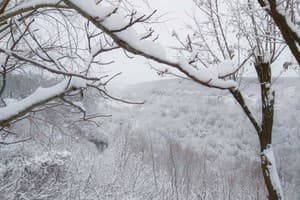 Гостиный двор Родинний Маєток Family Estate. Коттедж двухместный (К3)терраса, сауна бассейн. 8