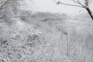 Гостиный двор Родинний Маєток Family Estate. Коттедж двухместный Семейный у каньона (К2) терраса, сауна, бассейн 10