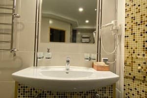 Гостиный двор Spadok. Люкс двухместный с видом на сад 11