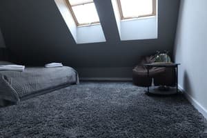 Отель У Доминикана. Стандарт двухместный № 8 2