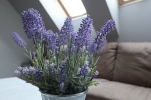 Отель У Доминикана. Улучшенный двухместный №9 Крыши старого города 8